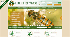 Desktop Screenshot of 1424.pornsites-aeoe.pherobase.com