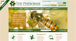 Desktop Screenshot of 1494.pornsites-aeoe.pherobase.com