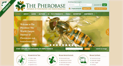 Desktop Screenshot of 1030.pornsites-aeoe.pherobase.com