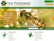 Tablet Screenshot of 1030.pornsites-aeoe.pherobase.com
